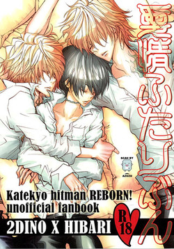 Download Katekyo Hitman Reborn