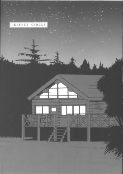 Page 4 of PERFECT CIRCLE