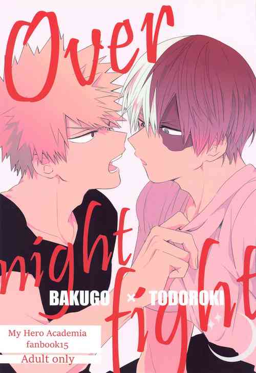 Download Overnight Fight