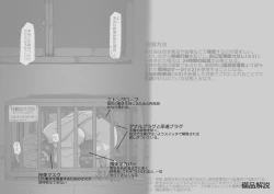 Page 35 of Houshigakari no YumenoShoujo Jinken Hakudatsuhou-