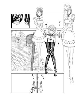 Page 14 of M.A.I.D.S System