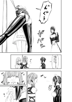 Page 17 of M.A.I.D.S System