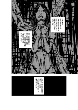 Page 1 of M.A.I.D.S System