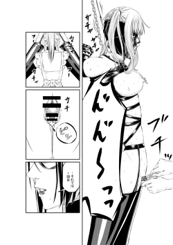 Page 24 of M.A.I.D.S System