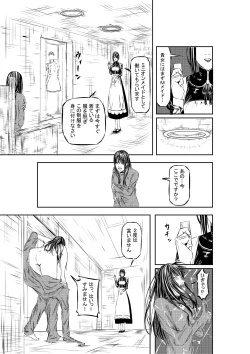 Page 8 of M.A.I.D.S System