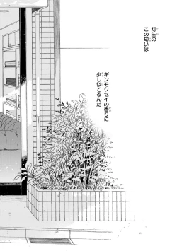 Page 140 of Ginmokusei no Shitateya