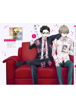 Page 201 of Boku wa Onii-chan no koto ga Suki desu. 1