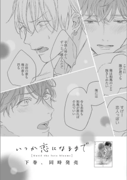 Page 207 of Itsuka Koi ni Naru Made Jou