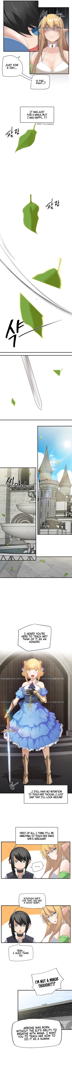 Page 47 of Slave Knight of the Elf