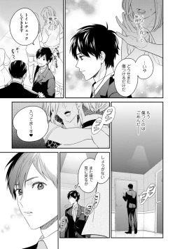 Page 15 of Kirei na Onii-san wa xx ga Osuki