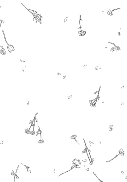 Page 142 of Noazami no Koi - The love of field thistle.