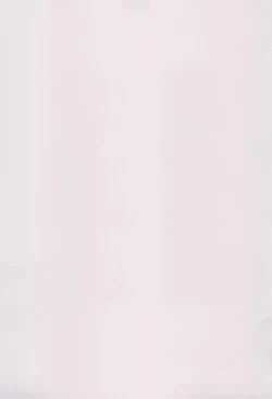 Page 3 of Musashi-chan to Himitsu no Nettaiya