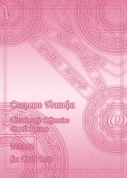 Page 28 of Ore Yome Nanoha