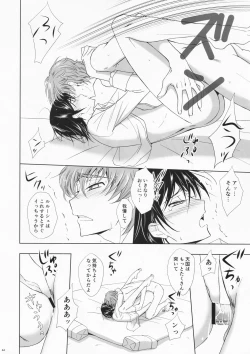 Page 45 of Dual zero Trick