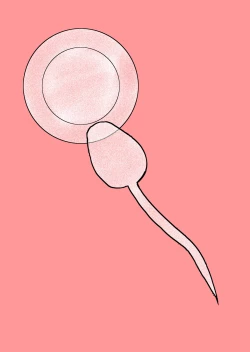 Page 104 of Watashi to Dare no Ko?