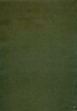 Page 16 of ISLAND x ISLAND