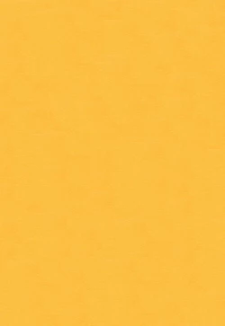 Page 4 of IN THE BOX