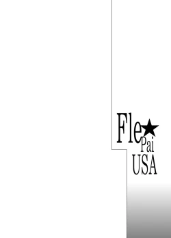 Page 2 of Fle Pai USA