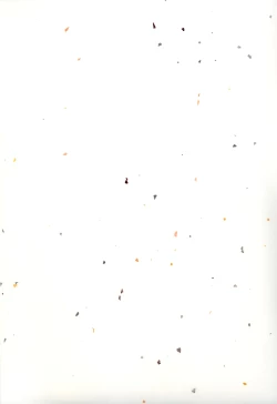 Page 2 of Crescent Moon PaletteBLACK NOISE