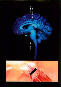 Page 1 of Want to be a kid