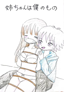 Page 1 of Nee-chan wa Boku no Mono