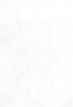 Page 3 of Shino Buna