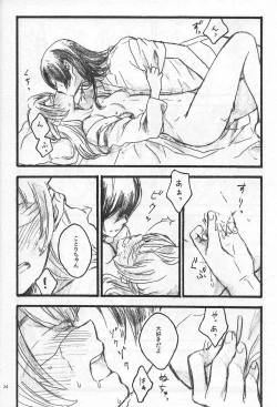 Page 23 of Anemone coronaria