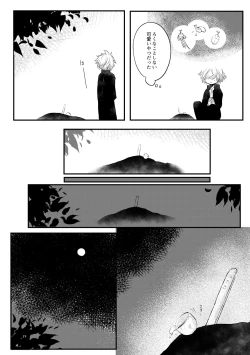 Page 5 of Karakomori Beetle