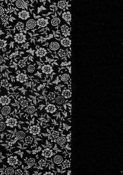 Page 3 of INU/Sequel