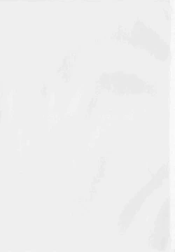 Page 154 of Shihon Shugi no Seishin - Der Geist des Kapitarismus