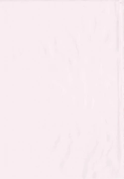 Page 5 of Shihon Shugi no Seishin - Der Geist des Kapitarismus