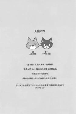 Page 20 of RINISA VARIETY PACK