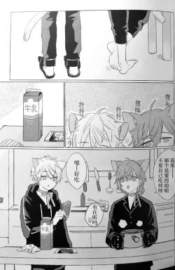 Page 12 of Neko no Iru Seikatsu | 有猫的生活