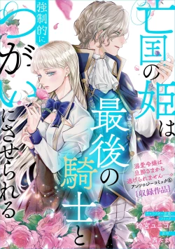 Page 2 of bōkoku no hime wa saigo no kishi to kyōsei-teki ni tsugai ni sa se rareru | 亡国的公主被强制许配给了最后的骑士