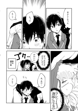 Page 17 of Fujiminichi