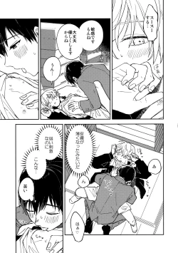 Page 28 of Fujiminichi