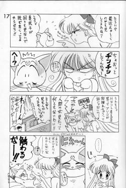 Page 16 of Submission Venus