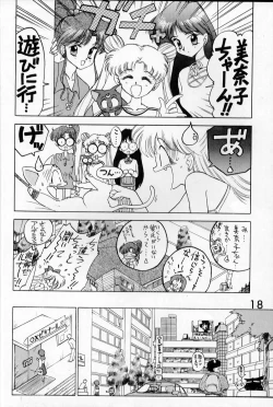 Page 17 of Submission Venus