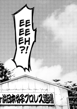 Page 2 of Honki nadeshiko | Serious Nadeshiko fighter