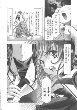 Page 242 of Sakura Ame Wide Ban