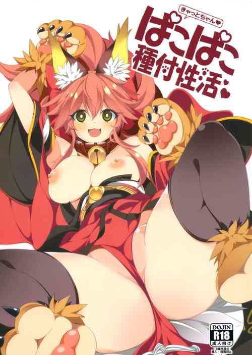 Download Cat-chan Pakopako Tanetsuke Seikatsu