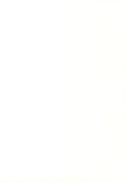 Page 2 of Kawaii Otouto-san wa Suki desu ka? Otameshiban