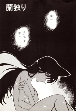 Page 3 of Meitantei DX