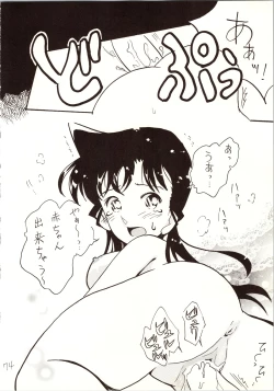 Page 74 of Meitantei DX