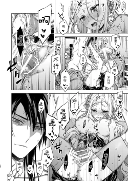 Page 28 of Enran Keichuu Kowa・Kouden3 | 燕岚闺中顾话・后传3