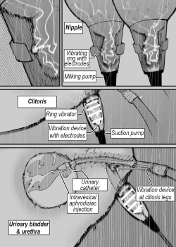 Page 8 of Ushi ni Natta | Turned into a cow.