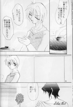 Page 13 of FINGER-MARK