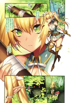 Page 21 of Haiboku Elf