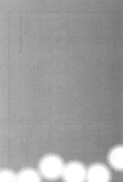 Page 175 of Yapoo the human cattle vol.07