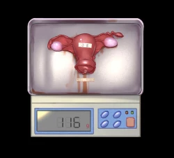 Page 49 of 心华去势日记